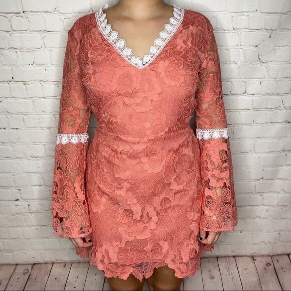 Alexia Admor Pink Contrast Lace Dress - Picture 10 of 15